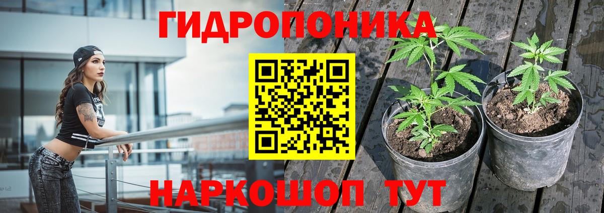 Конопля Ganja  Вход с VPN  МАРИХУАНА THC 21%  Саянск  Каннабис LSD WEED  МАРИХУАНА марихуана 
